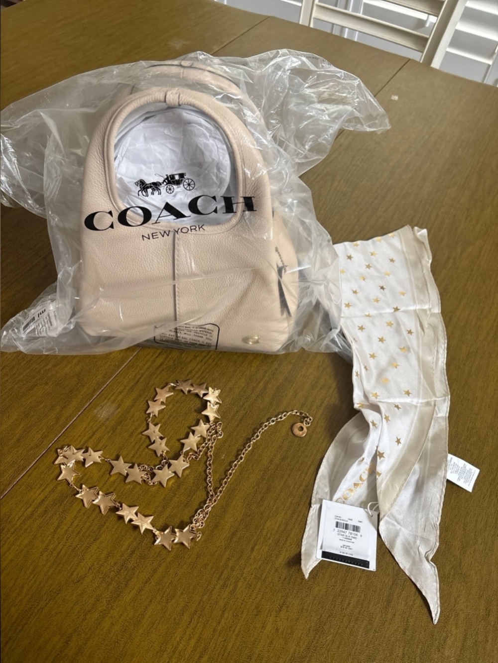 COACH Lana Shoulder Bag 23 Ivory w/ Coach Star print diamond scarf, star chain